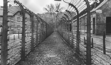 Holocaust