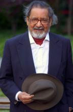 Naipaul, V. S.